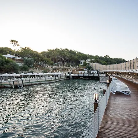 Wome Prime فندق 5*